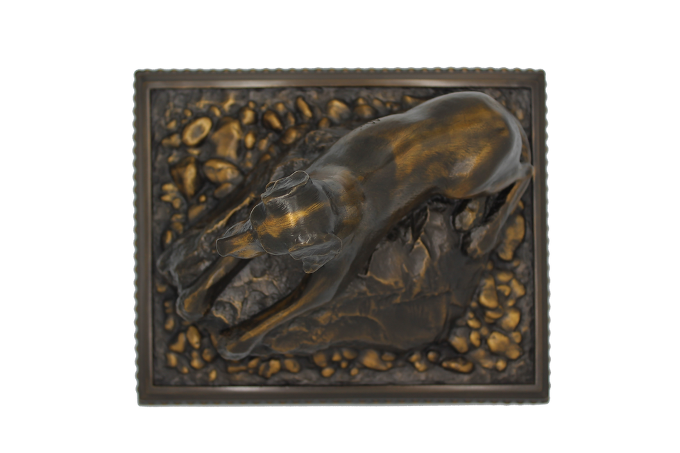 Thumbnail: German Shorthaired Pointer