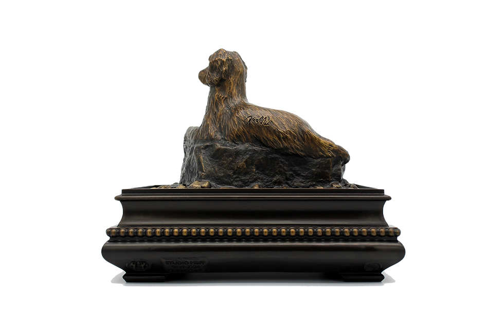 Thumbnail: Labradoodle