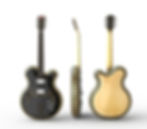 Custom Guitar