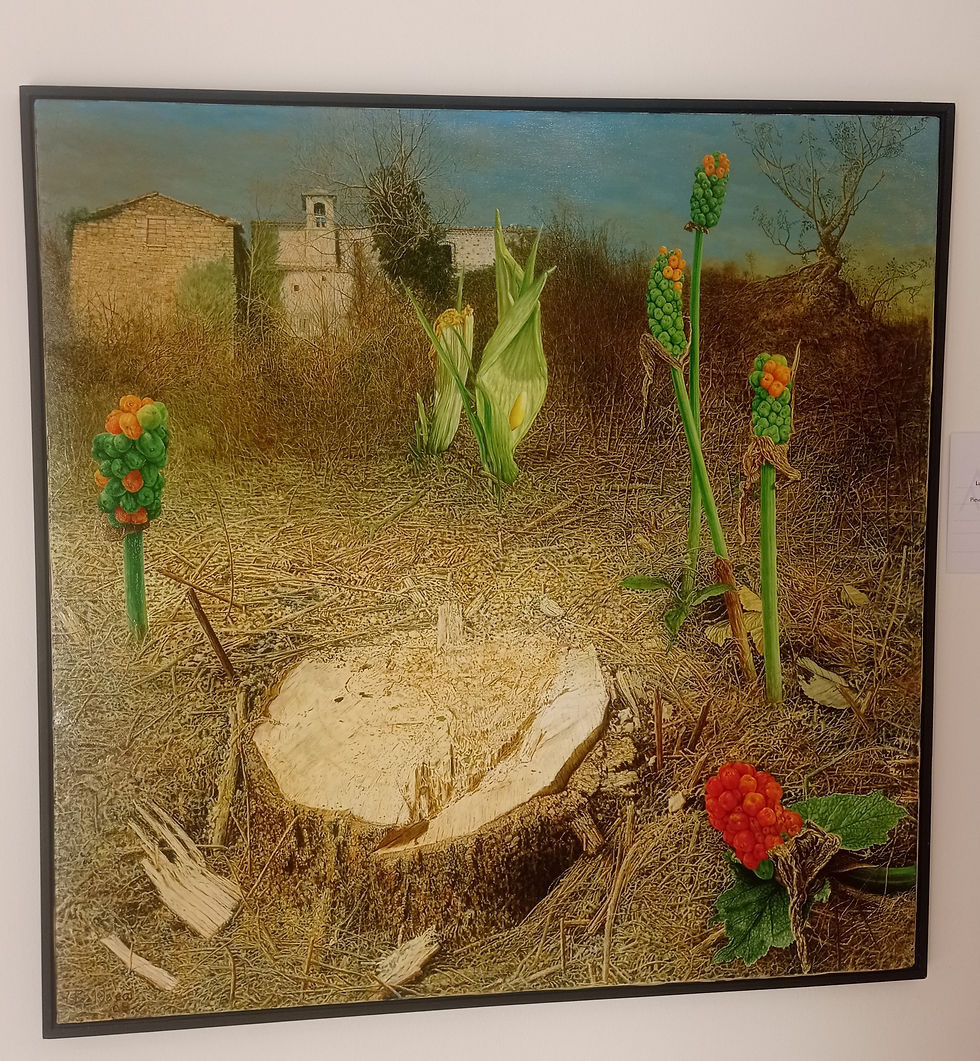 LUCIANO BALDACCI (1957)