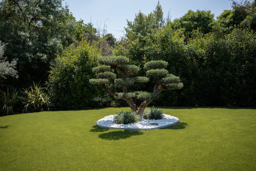 Discover the elegance of an artistically pruned bonsai tree on premium synthetic turf. Riviera Grass creates serene, low-maintenance gardens with a touch of Zen for your outdoor space