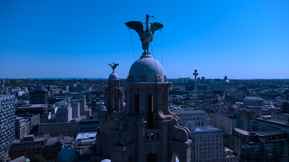 Aerial close-up of the Liver Birds on top of the Royal Liver Building in Liverpool, with the city skyline, Radio City Tower, and Liverpool Metropolitan Cathedral visible in the background under a clear blue sky.