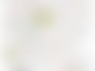 Outdoor Warning Siren Test