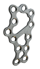 calcaneo mod 2 dcp.png