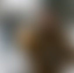 Beat the Winter Rush