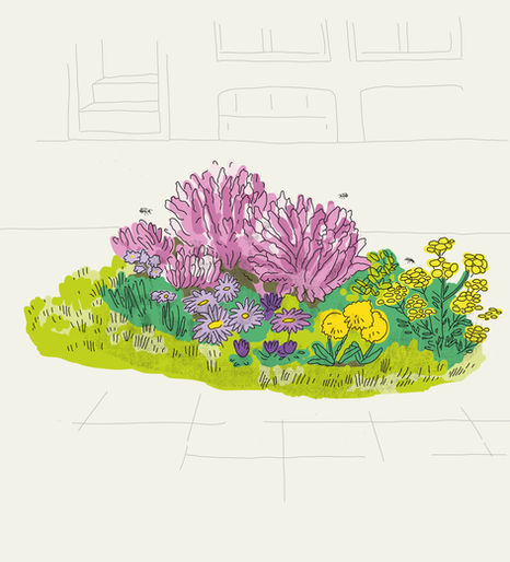 Apis Bruoc Sella - Illustration d'un massif végétal attractif pour les abeilles en ville.