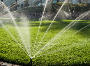 irrigation1.png