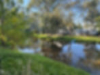 IMG_0052.jpeg