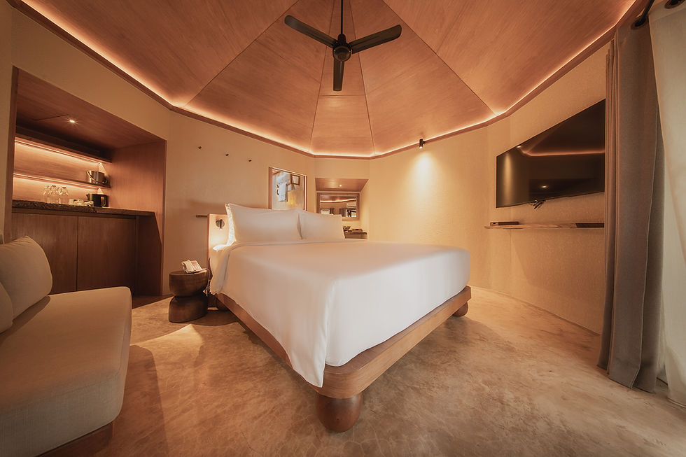 DELUXE BEACH VILLA 1