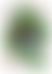 22ème BALADE GOURMANDE D'AMPUS