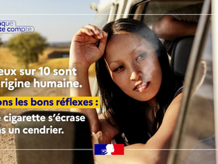 FEUX DE FORÊT ET DE VEGETATION