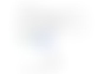 REUNION DU CONSEIL MUNICIPAL LE MARDI 8 OCTOBRE 2024