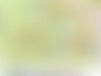 LES BOUCLES DU HAUT VAR 2021