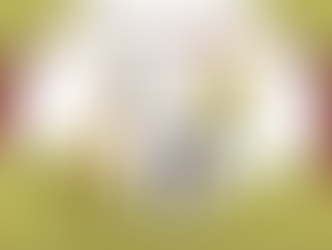 GRANDE TYROLIENNE D'AMPUS