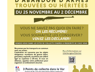 OPERATION NATIONALE D’ABANDON SIMPLIFIE D’ARMES A L’ÉTAT