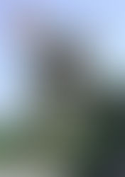 REUNION PUBLIQUE - VENDREDI 16 JANVIER 2026