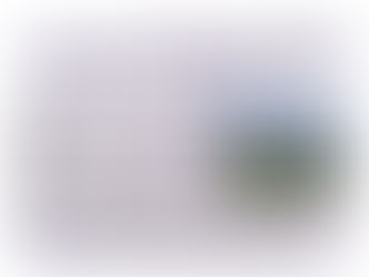 Sortie pédestre à Flayosc