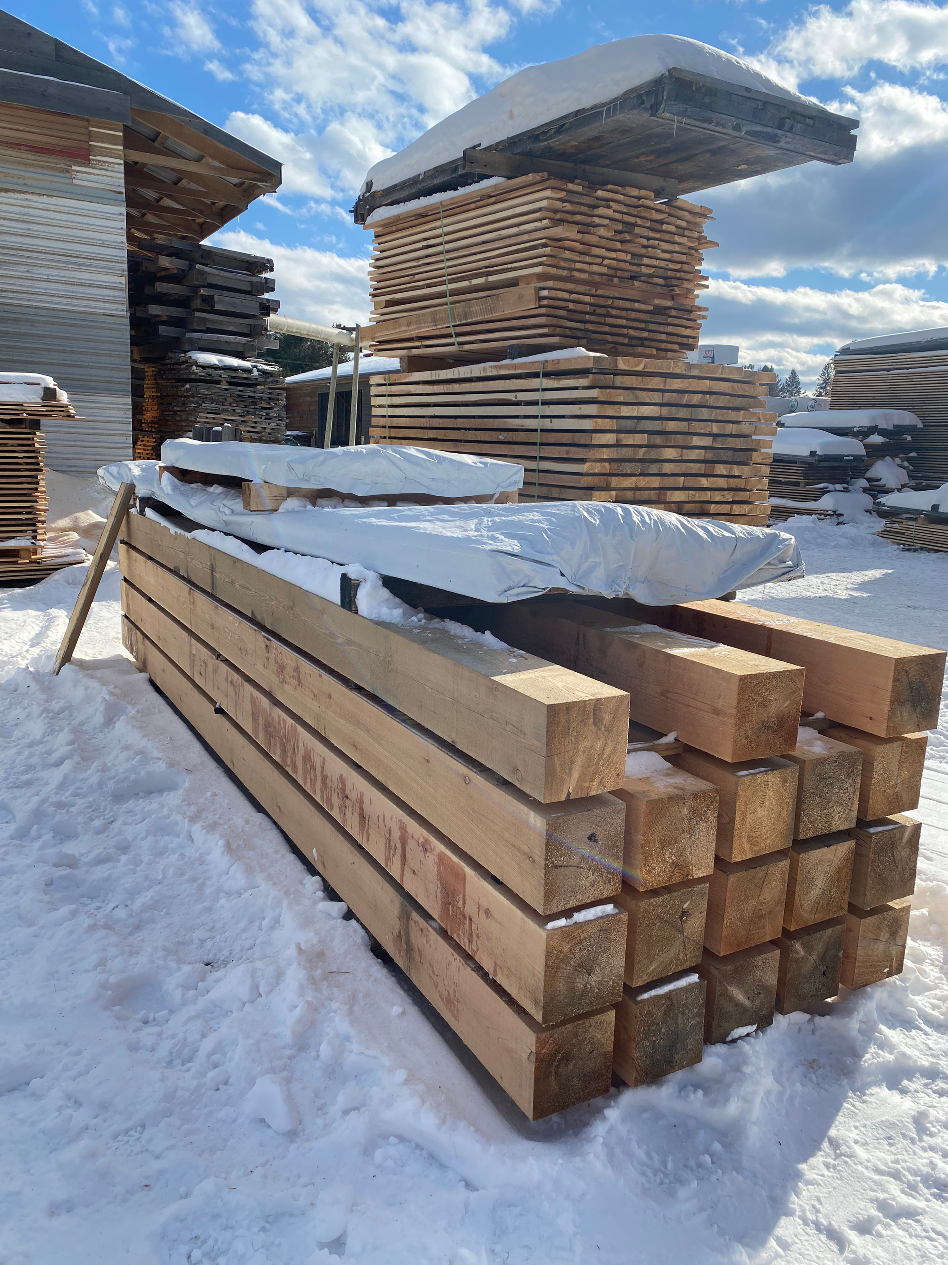 8x8 Cedar Posts - Tight Knot Grade  — product view 3