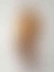 Loro Piana SS25 Collection. 20th September.