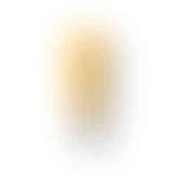 Isabella Bence photographed by Polina Kovalova, Stylist Ashley Conor,  Beauty Editor Anna Inglis Hall, Celine beaute, Simihaze, Code8, Haus Labs, Fendi, Merit Beauty