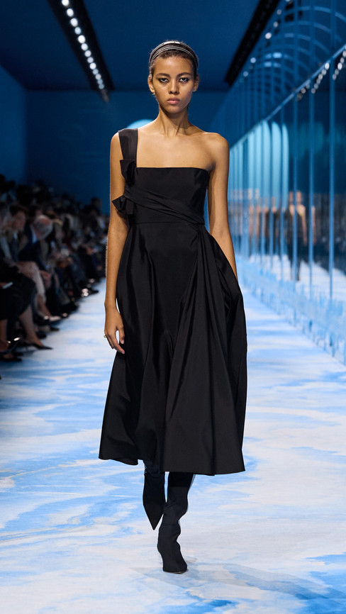 Dior SS25 Collection. Paris, 24th September