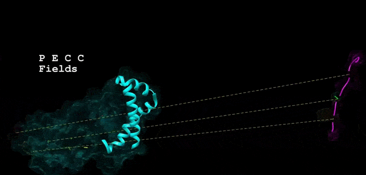 Acople molecular HLA II Peptido (1)_Trim