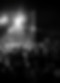 Nighttime concert crowd