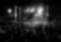 Multidão de shows noturnos