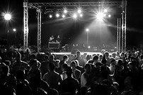 Nighttime concert crowd