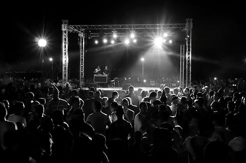 Nighttime concert crowd