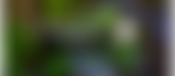 Assemblée générale 2025