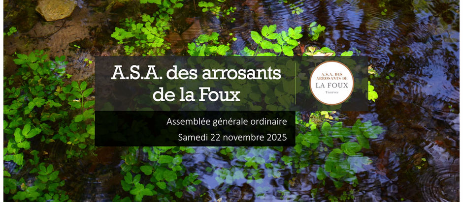 Assemblée générale 2025