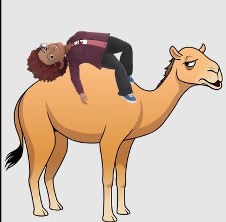 Philippa camel.jpg