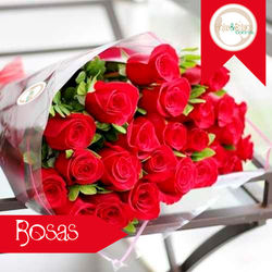 24 rosas rojas capuchon.jpg