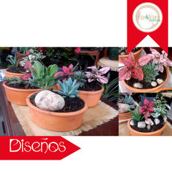 mini jardines.jpg