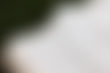 La Bible à prix discount !