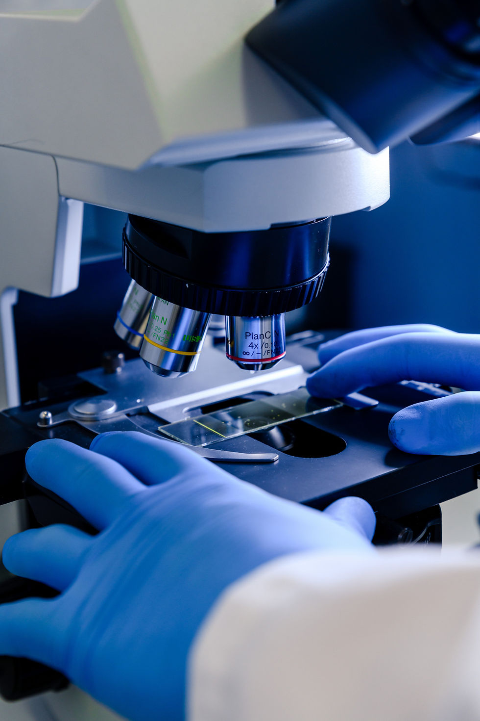 Close-up of gloved hands adjusting a microscope under blue laboratory lighting for detailed specimen analysis