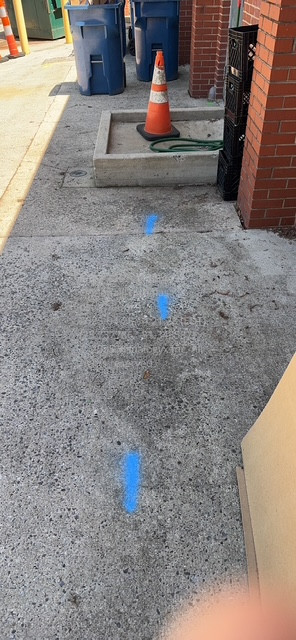 Blue spray paint markings in the shape of arrows on concrete, indicating a path or underground utility line.