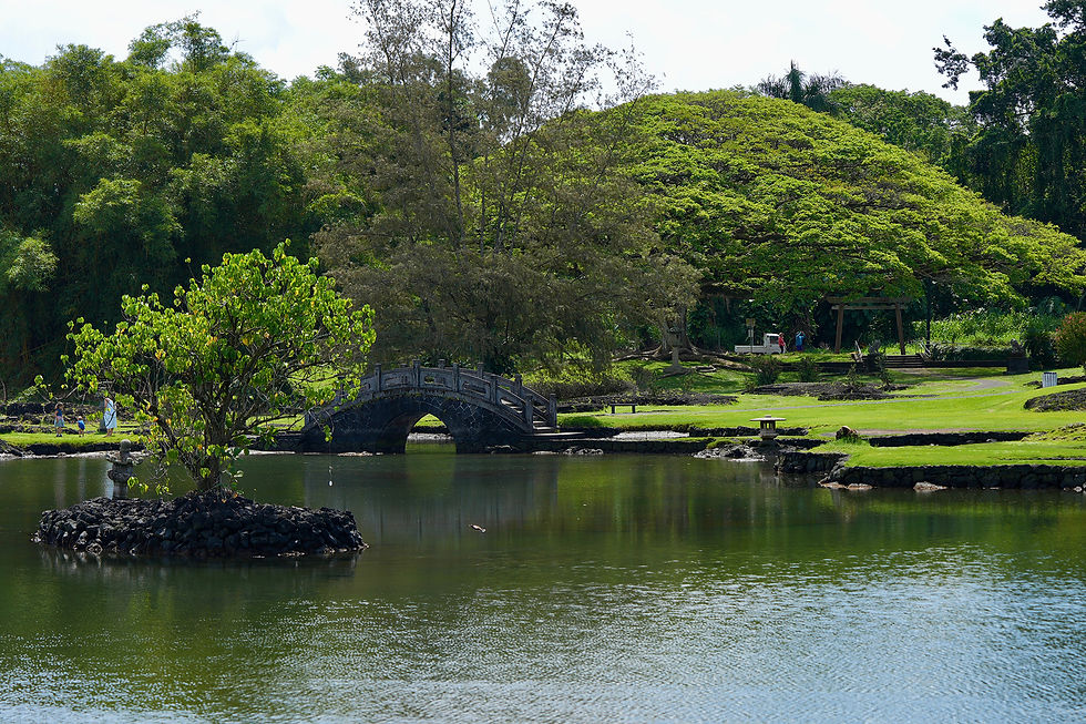 Liliuokalani Park.JPEG