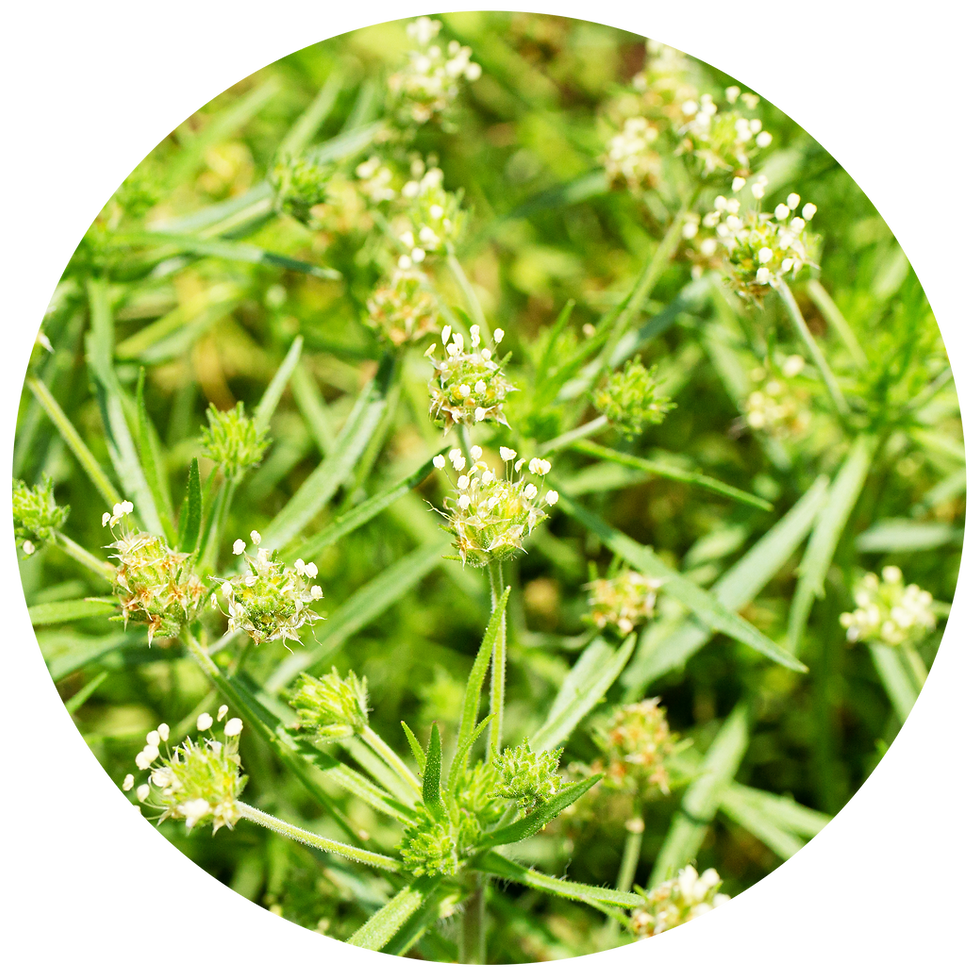 AdobeStock_506357009.png