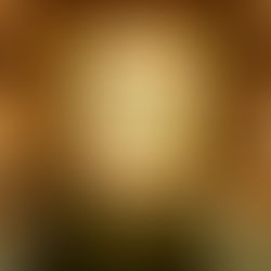 From Page to Porch: Styling Your Home Like The Spellshop