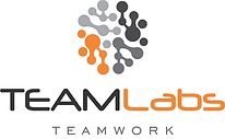 Logo Site TEAMLabs