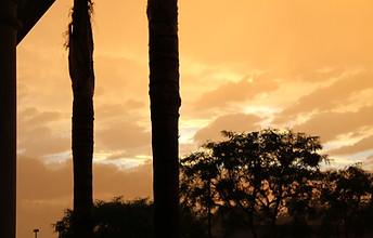Photo from our vet hospital during wildfire.