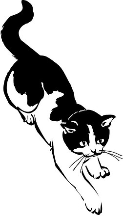 Cat Hospital Logo