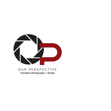 Our Perspective
Contract Work