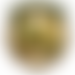 The Compass of Sustainability: Designing Outdoor Spaces That Inspire