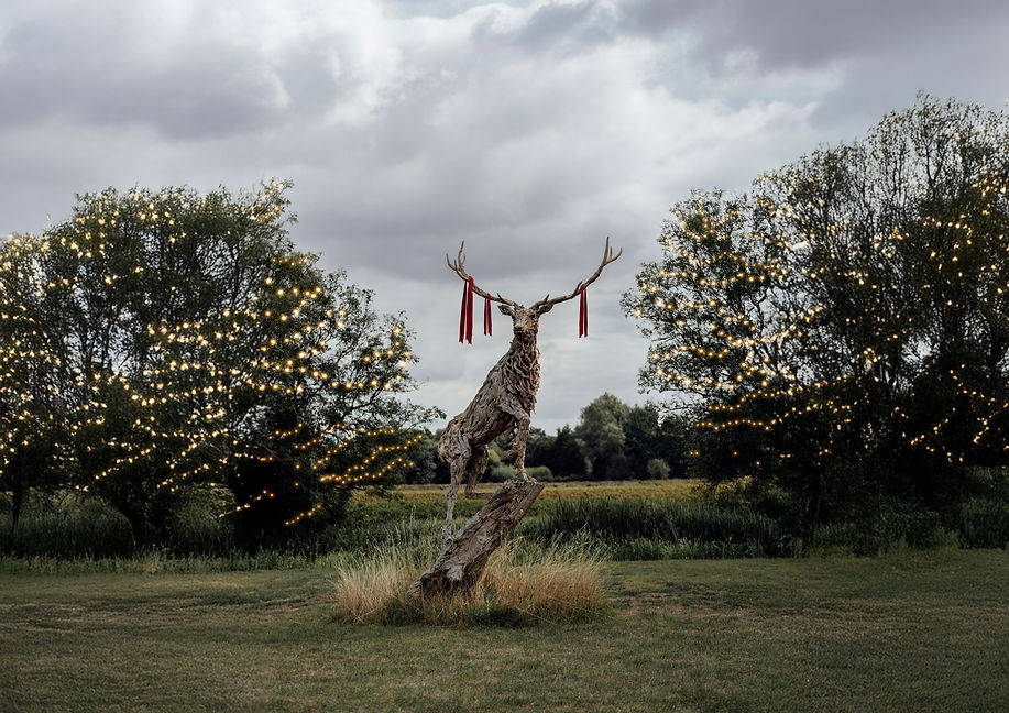 JDWBulbsExtended 2.jpg