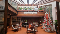 sala camino albero natale + mezzanino sopra
