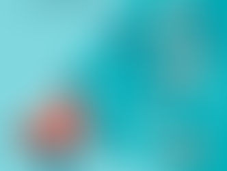¿Por qué personalizar tu plan de marketing?