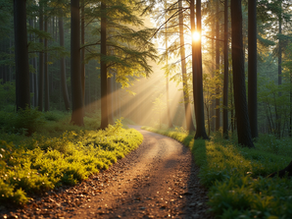 Hearing God in Uncertain Times: Finding Direction in Isaiah 30 21